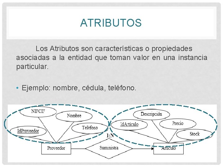 ATRIBUTOS Los Atributos son características o propiedades asociadas a la entidad que toman valor