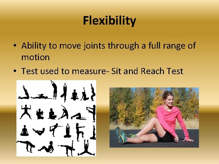 Flexibility • Ability to move joints through a full range of motion • Test