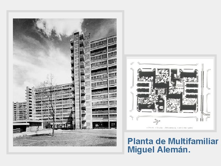 Planta de Multifamiliar Miguel Alemán. 