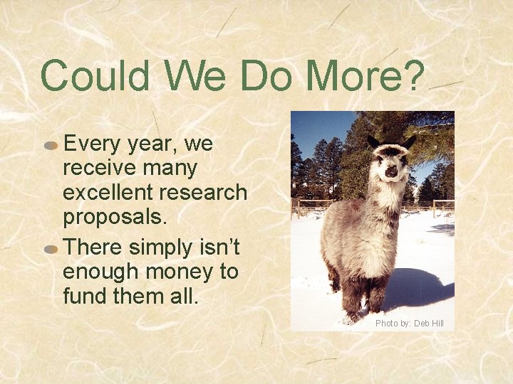Could We Do More? Every year, we receive many excellent research proposals. There simply