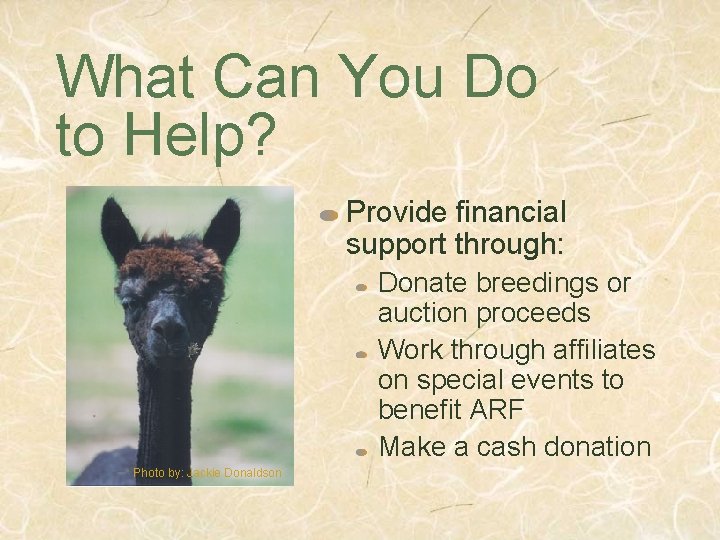 What Can You Do to Help? Provide financial support through: Donate breedings or auction