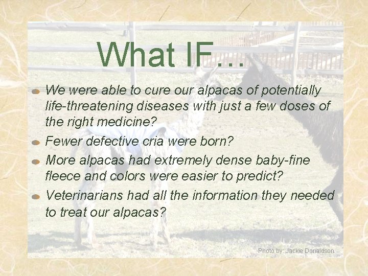 What IF… We were able to cure our alpacas of potentially life-threatening diseases with