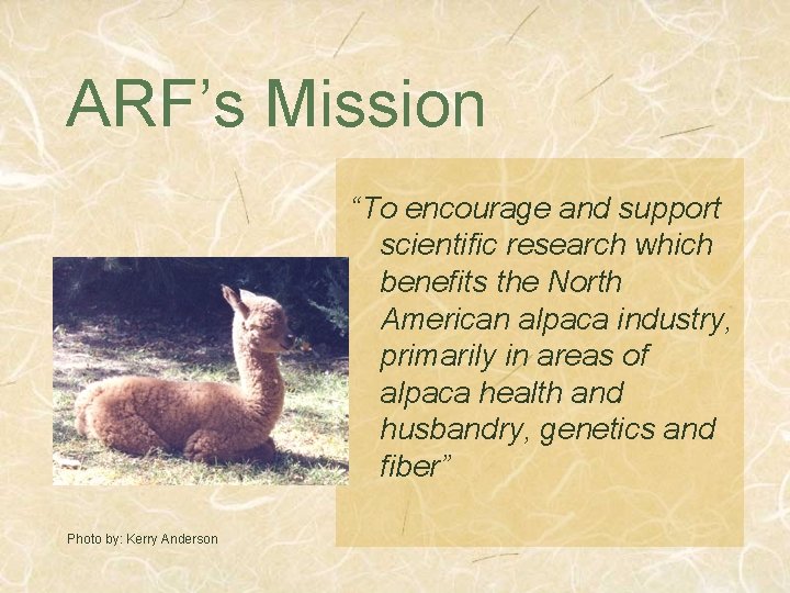 ARF’s Mission “To encourage and support scientific research which benefits the North American alpaca