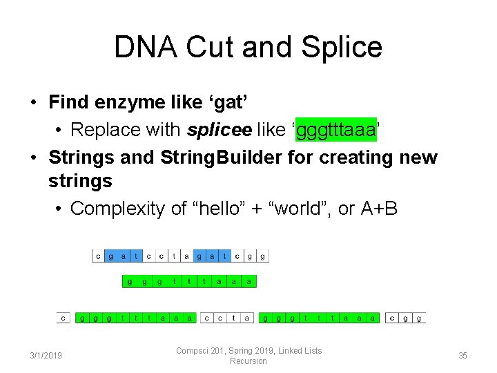 DNA Cut and Splice • Find enzyme like ‘gat’ • Replace with splicee like DNA Cut and Splice • Find enzyme like ‘gat’ • Replace with splicee like