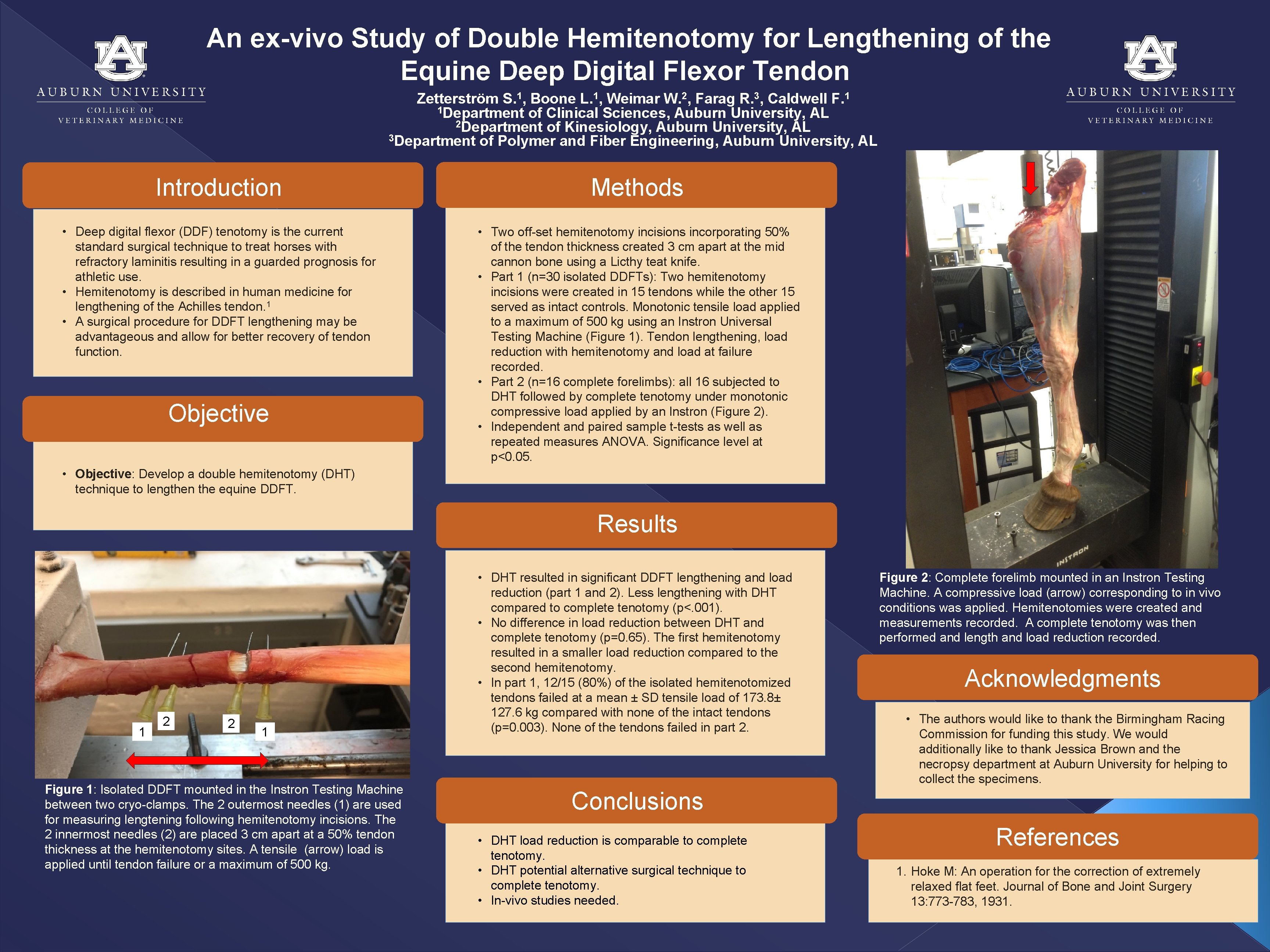 An ex-vivo Study of Double Hemitenotomy for Lengthening of the Equine Deep Digital Flexor