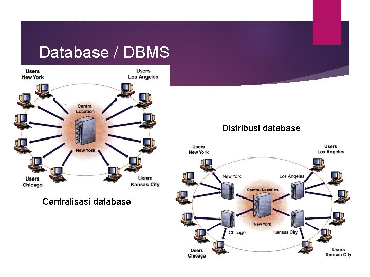 Database / DBMS Distribusi database Centralisasi database 