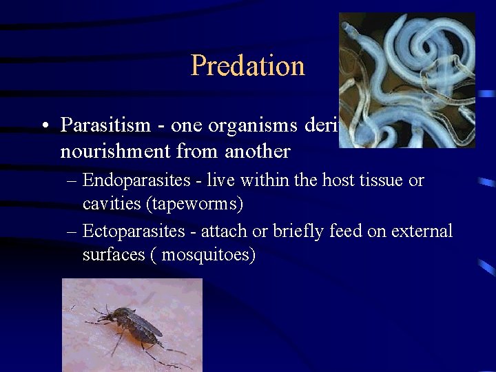 Predation • Parasitism - one organisms derives nourishment from another – Endoparasites - live