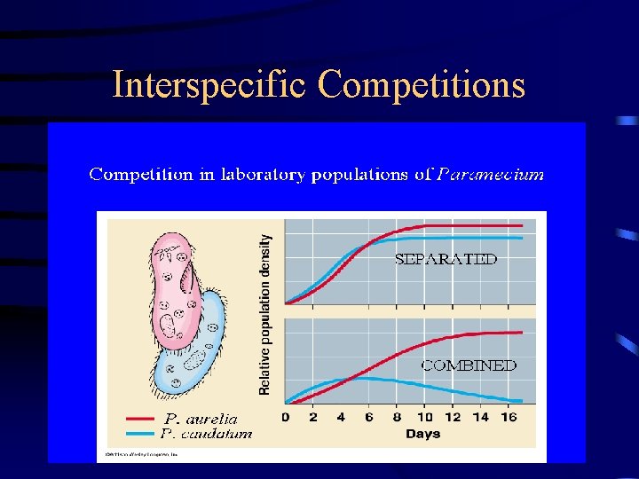 Interspecific Competitions • Competitive Exclusion Principle - two similar species in the same area