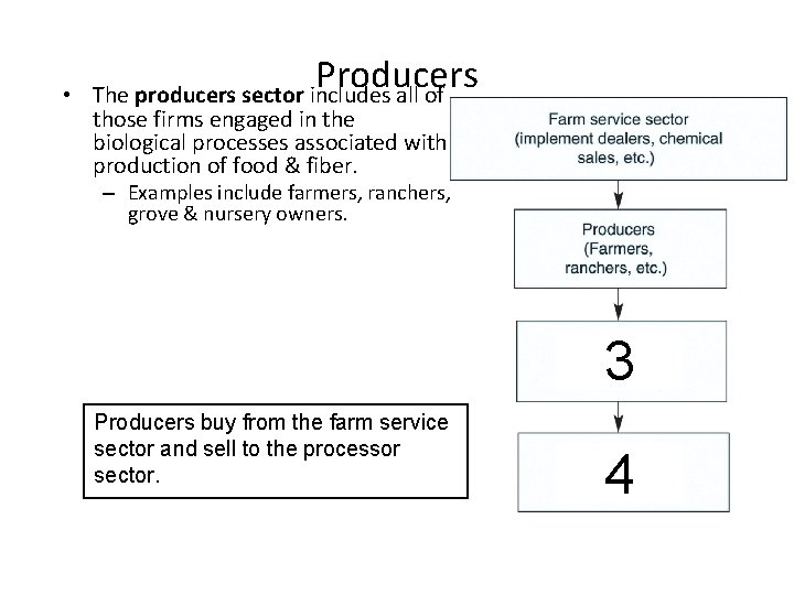  • Producers The producers sector includes all of those firms engaged in the