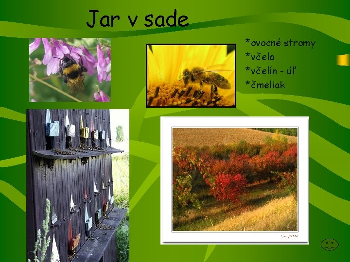 Jar v sade *ovocné stromy *včela *včelín - úľ *čmeliak 