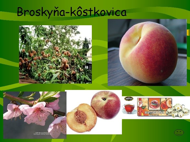 Broskyňa-kôstkovica 