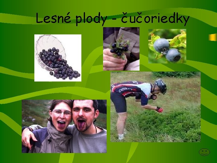 Lesné plody - čučoriedky 