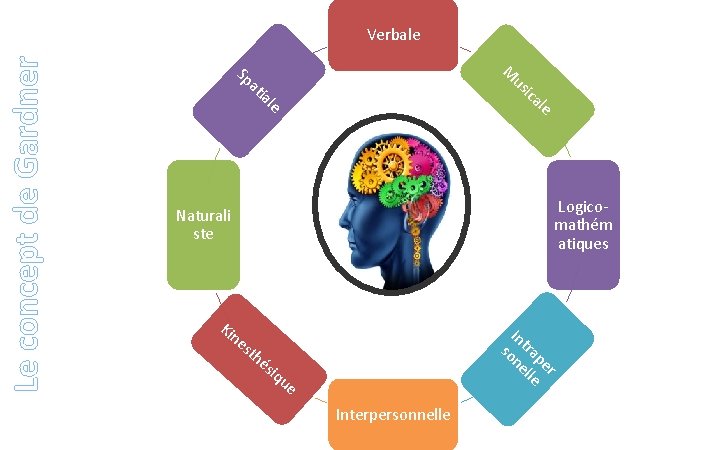 Le concept de Gardner Verbale M Sp a us tia le ica le Logicomathém