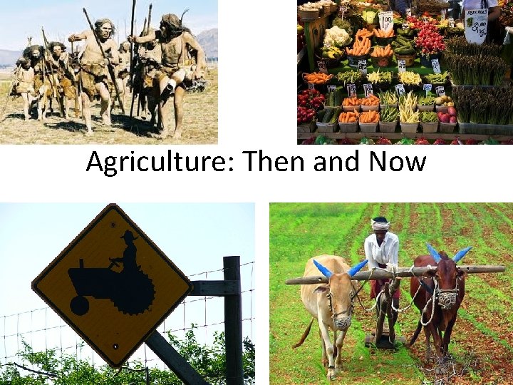 Agriculture: Then and Now 