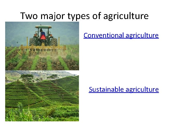 Two major types of agriculture Conventional agriculture Sustainable agriculture 