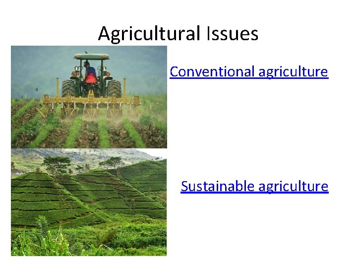 Agricultural Issues Conventional agriculture Sustainable agriculture 