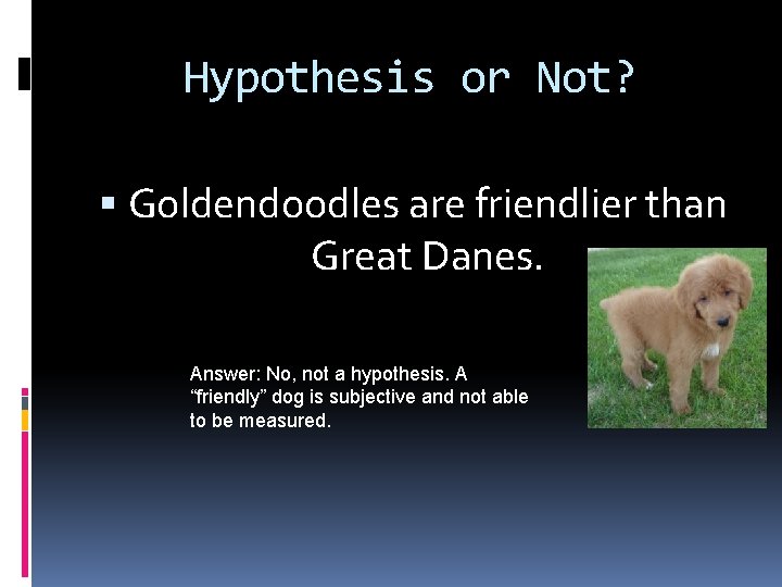 Hypothesis or Not? Goldendoodles are friendlier than Great Danes. Answer: No, not a hypothesis.