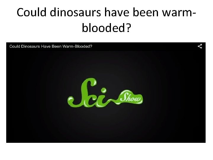 Could dinosaurs have been warmblooded? 