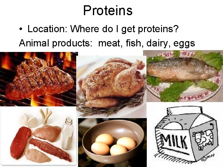 Proteins • Location: Where do I get proteins? Animal products: meat, fish, dairy, eggs