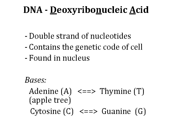 DNA - Deoxyribonucleic Acid - Double strand of nucleotides - Contains the genetic code