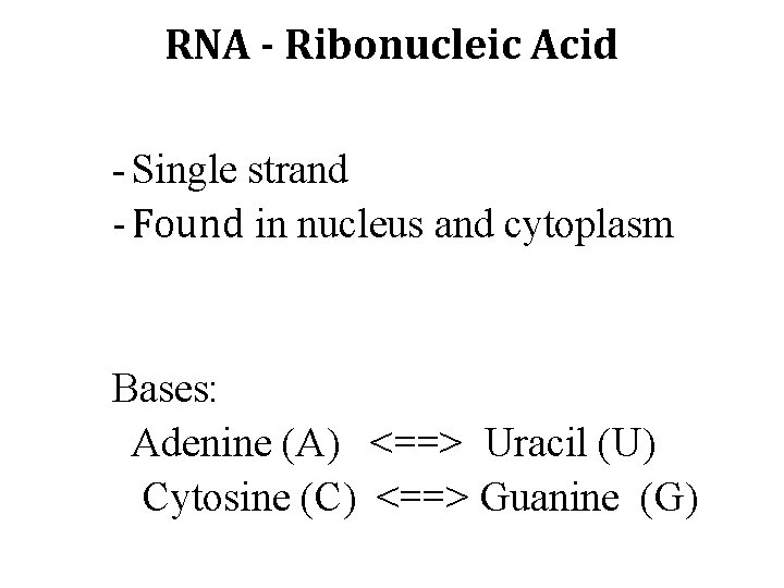 RNA - Ribonucleic Acid - Single strand - Found in nucleus and cytoplasm Bases: