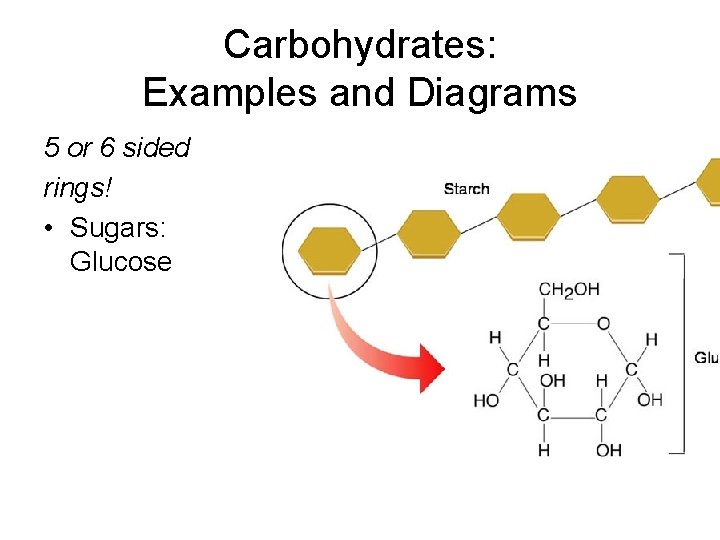 Carbohydrates: Examples and Diagrams 5 or 6 sided rings! • Sugars: Glucose 