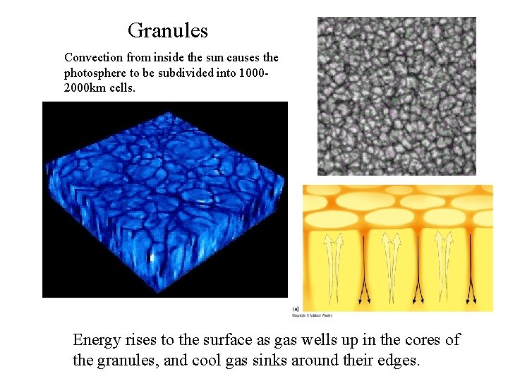 Granules Convection from inside the sun causes the photosphere to be subdivided into 10002000