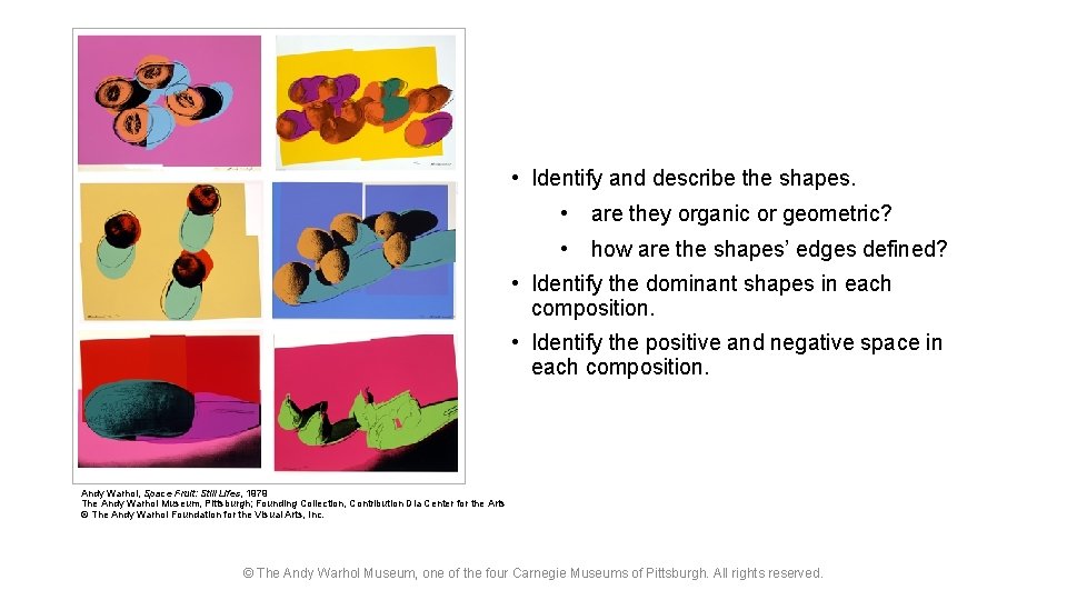  • Identify and describe the shapes. • are they organic or geometric? •