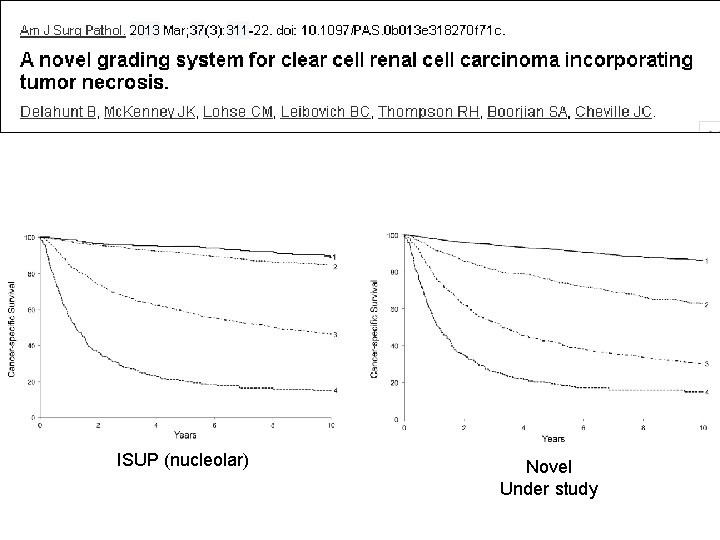 ISUP (nucleolar) Novel Under study ISUP (nucleolar) Novel Under study