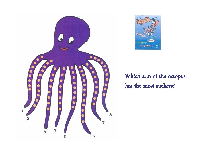 Which arm of the octopus has the most suckers? 