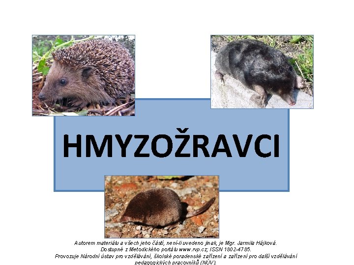 HMYZOŽRAVCI Autorem materiálu a všech jeho částí, není-li uvedeno jinak, je Mgr. Jarmila Hájková. HMYZOŽRAVCI Autorem materiálu a všech jeho částí, není-li uvedeno jinak, je Mgr. Jarmila Hájková.