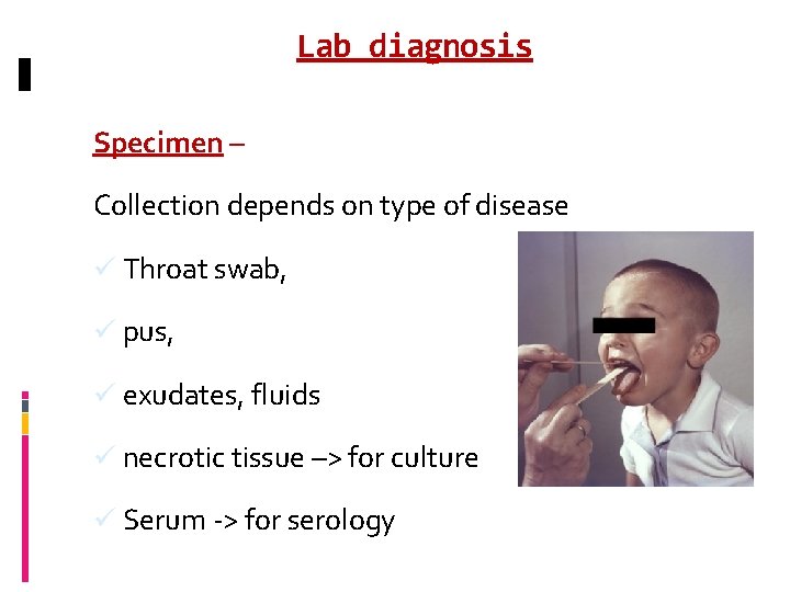 Lab diagnosis Specimen – Collection depends on type of disease ü Throat swab, ü