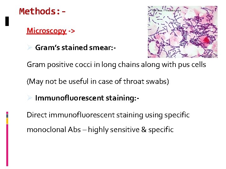 Methods: Microscopy -> Ø Gram’s stained smear: - Gram positive cocci in long chains