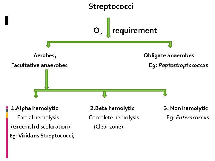 Streptococci O 2 requirement Aerobes, Obligate anaerobes Facultative anaerobes 1. Alpha hemolytic Partial hemolysis