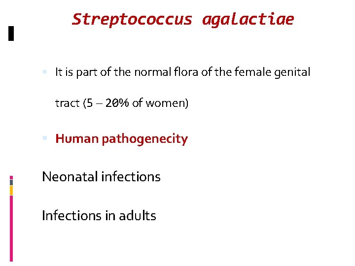 Streptococcus agalactiae It is part of the normal flora of the female genital tract