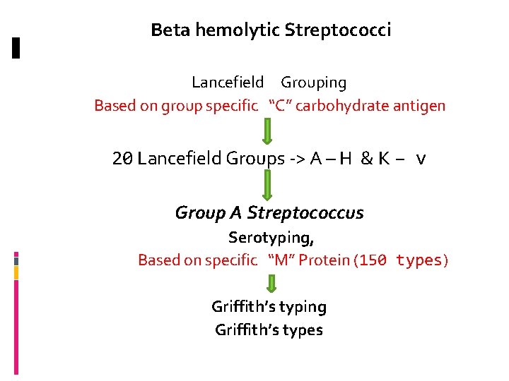 Beta hemolytic Streptococci Lancefield Grouping Based on group specific “C” carbohydrate antigen 20 Lancefield