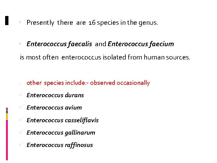  Presently there are 16 species in the genus. Enterococcus faecalis and Enterococcus faecium