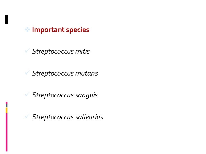 v Important species ü Streptococcus mitis ü Streptococcus mutans ü Streptococcus sanguis ü Streptococcus