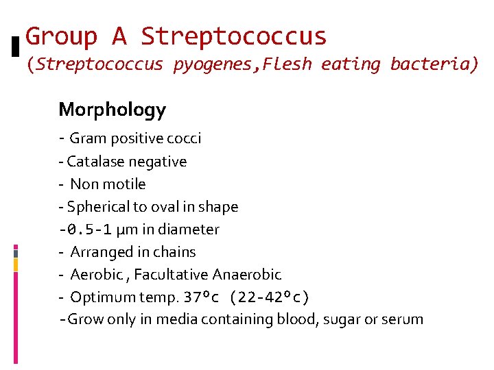 Group A Streptococcus (Streptococcus pyogenes, Flesh eating bacteria) Morphology - Gram positive cocci -