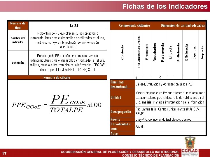 Fichas de los indicadores 17 