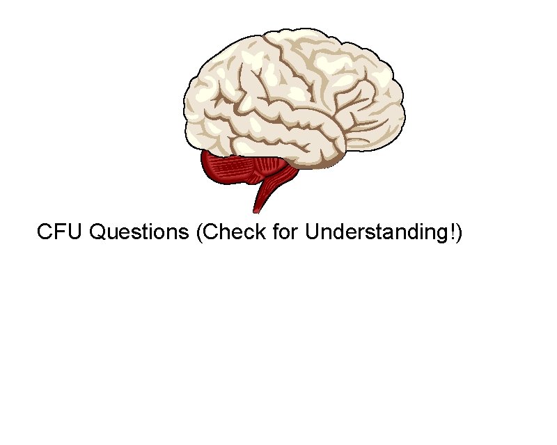 CFU Questions (Check for Understanding!) CFU Questions (Check for Understanding!)