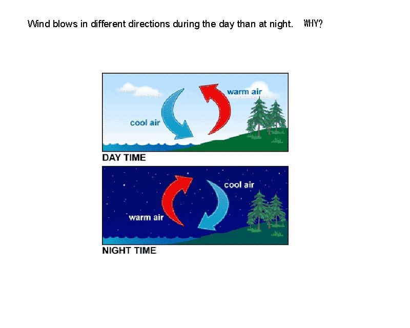 Wind blows in different directions during the day than at night.
WHY? Wind blows in different directions during the day than at night.
WHY?