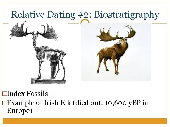 Relative Dating #2: Biostratigraphy �Index Fossils – ___________ �Example of Irish Elk (died out: