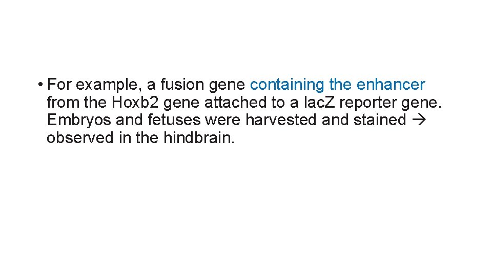  • For example, a fusion gene containing the enhancer from the Hoxb 2