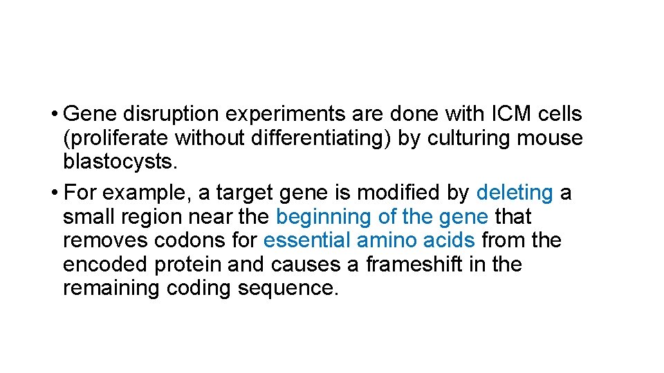  • Gene disruption experiments are done with ICM cells (proliferate without differentiating) by