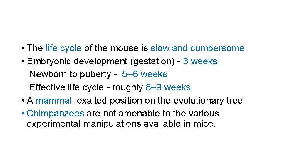  • The life cycle of the mouse is slow and cumbersome. • Embryonic