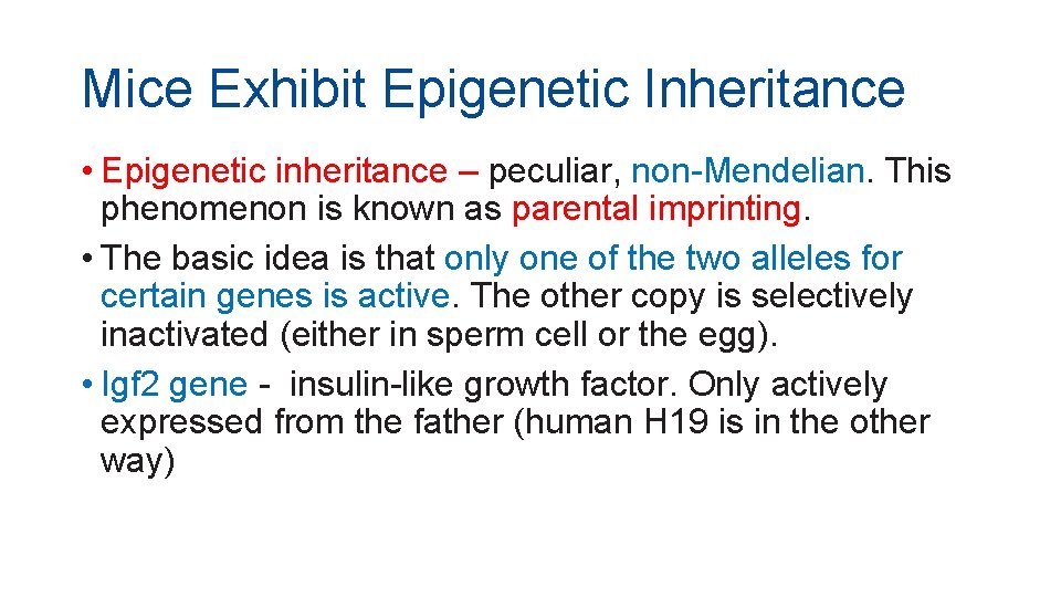 Mice Exhibit Epigenetic Inheritance • Epigenetic inheritance – peculiar, non-Mendelian. This phenomenon is known