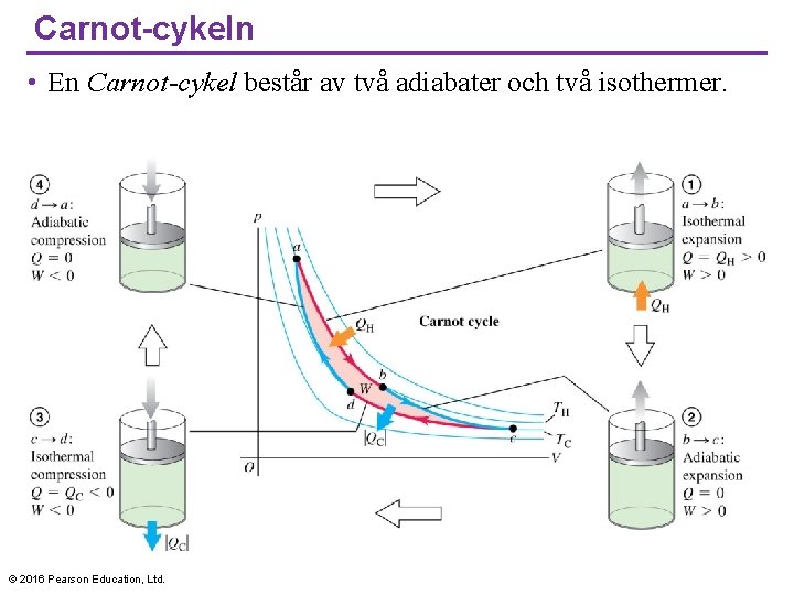 Carnot-cykeln • En Carnot-cykel består av två adiabater och två isothermer. © 2016 Pearson