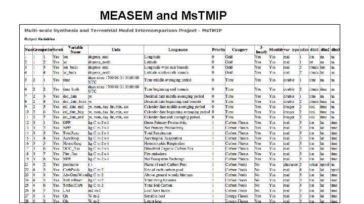 MEASEM and Ms. TMIP 