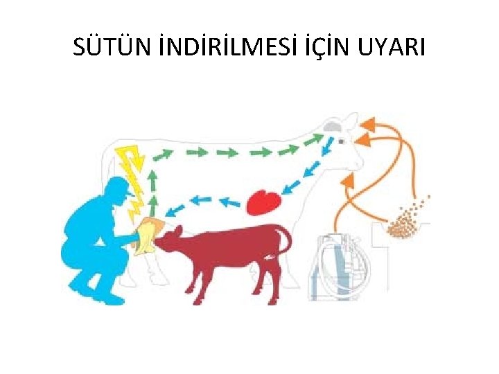 SÜTÜN İNDİRİLMESİ İÇİN UYARI 